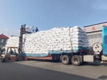 把握機(jī)遇、鉚足干勁、承勢而上