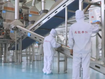 2025年的第一個(gè)月，承德亞歐果仁有限公司在山杏產(chǎn)業(yè)的道路上持續(xù)奮進(jìn)，展現(xiàn)出蓬勃的發(fā)展活力。